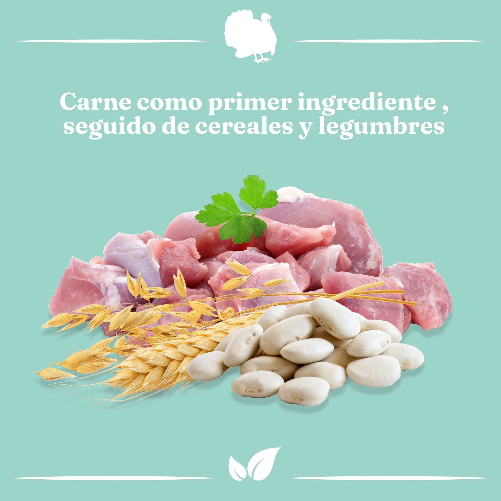 Pienso Light de Pavo para Perros Adultos | Efecto Saciante | Bajo en Grasas | con Cereales Completos | Libre de OGM | Protección Articular, 12 kg