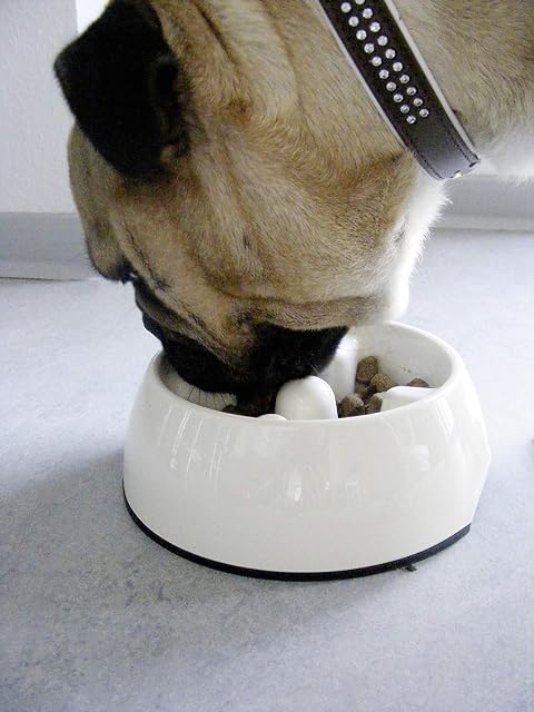 Foto 2 de 2 de Dogit go-Slow. Anti-gulping (300 ml)
