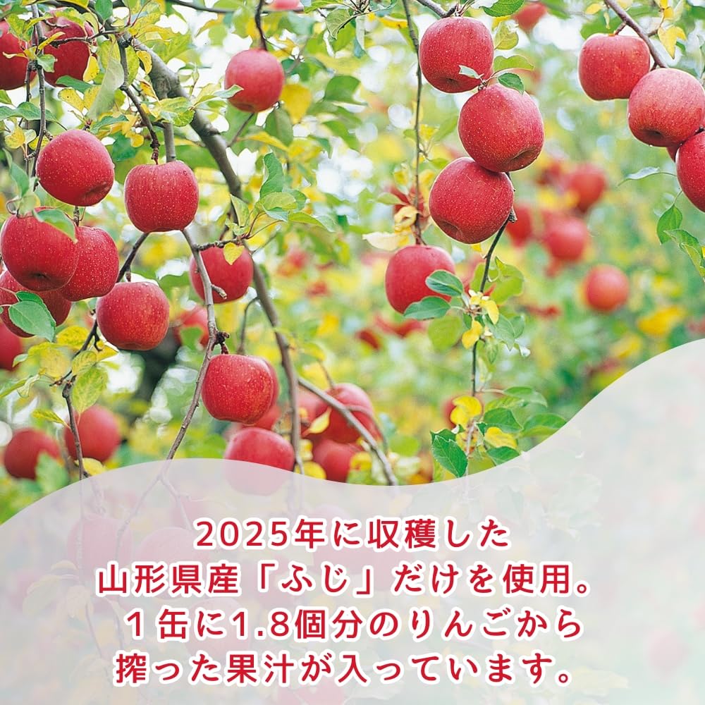 Amazon.co.jp: りんごジュース 山形りんご 2026 190g×30本 無添加 果汁