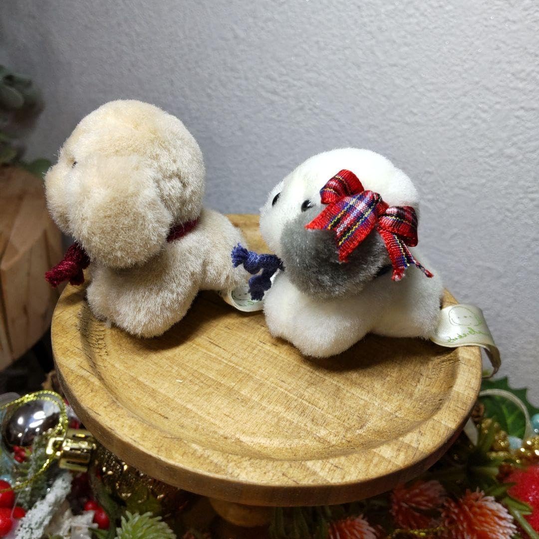 掛軸 前大徳寺 大橋香林老師筆 「渓馨廣長舌」 共箱 V R4290C