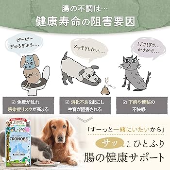 お腹のゆるい犬猫さん　キューテック メンテナンス パウダー 30包✖️6箱 キューテック メンテナンス パウダータイプ 犬猫用 2g×30包