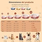 Ver la foto 3