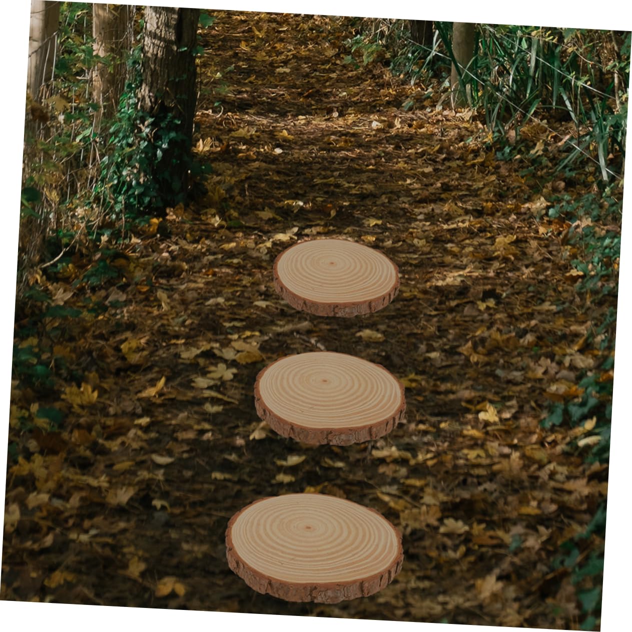 SUPVOX 2 Piezas de Piedras Decorativas para Jardín de Madera Beige Superficie Delicada, Adoquines Portátiles Ideales para Decoración Exterior y Paisajismo