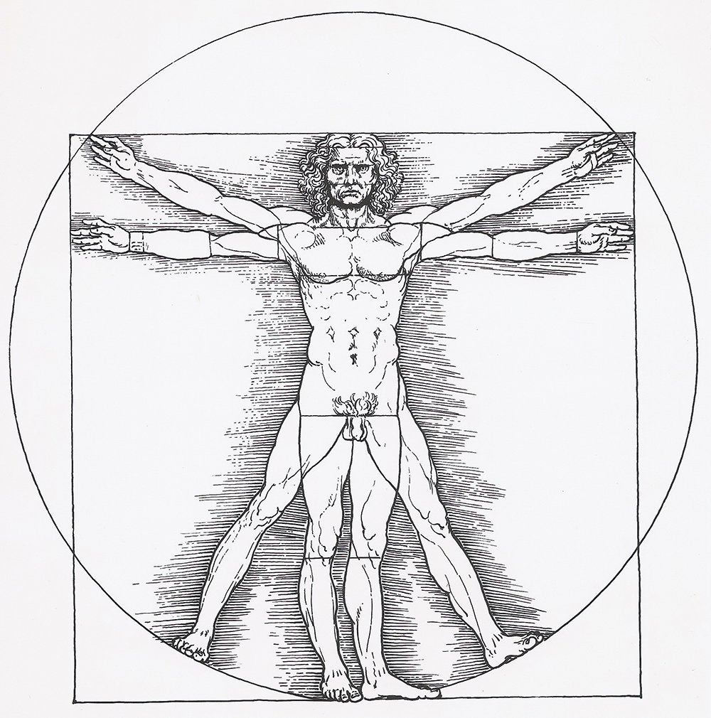 Lámina Hombre de Vitruvio de Da Vinci en acabado mate mediano para decoración elegante