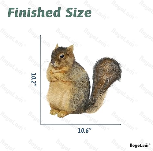 Miniatura 5 de Calcomanía de pared de ardilla con accesorios decorativos, extraíble, despegar y pegar, impermeable, decoración de pared para niños, bebés, aula,