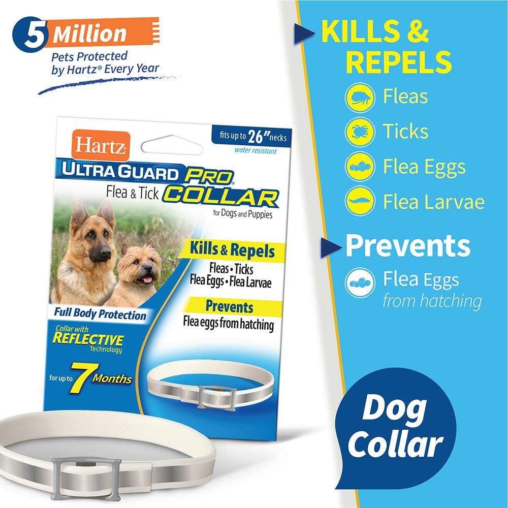 Hartz ultraguard pro flea and tick collar for cats Clearance