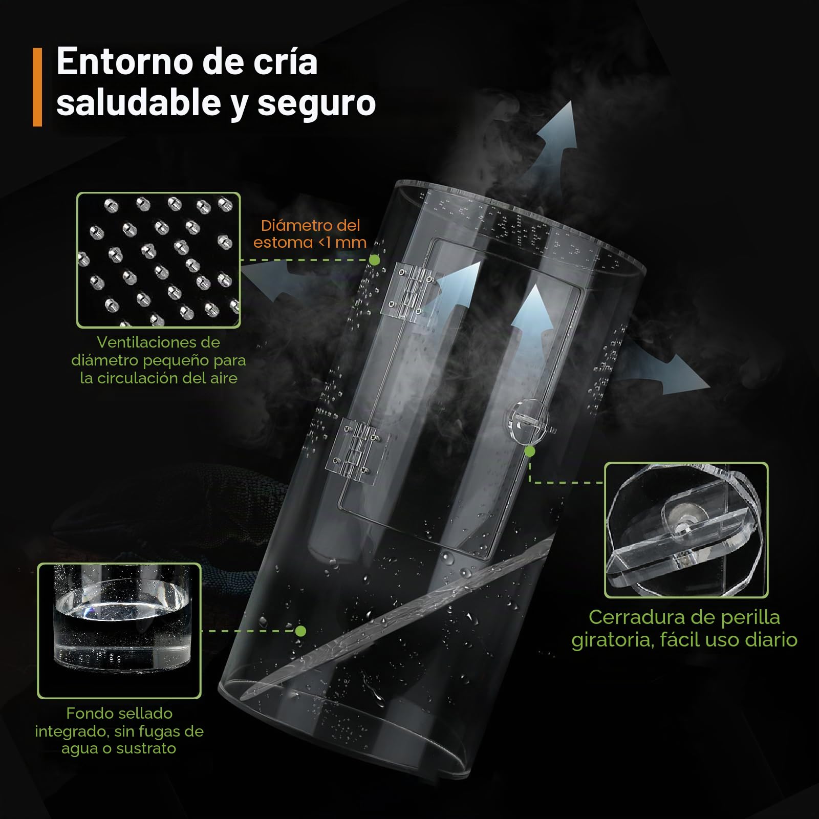 Terrario Cilíndrico, 360° Terrario Reptiles Transparente - Vivarium Insectos Acrílico, Caja de Cría para Araña Saltadora, Gecko, Lagarto Dragón Barbudo, Caracol, Insectos Palo, Rana Arbórea