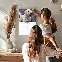 Vista 815 de Razas de Perros 2017