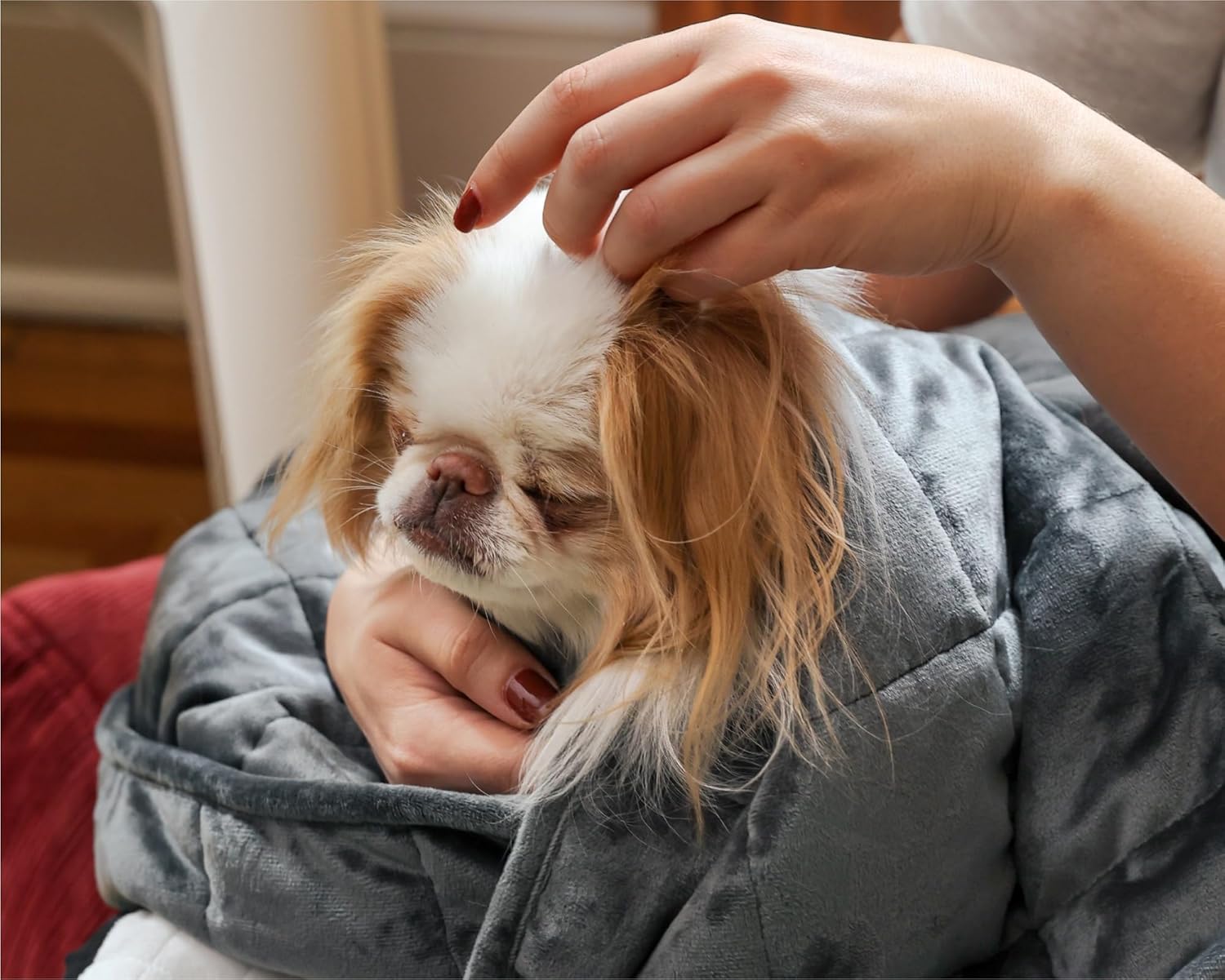 review Gravity Premium Original Weighted Dog Blanket, Calming, Relaxation & Anxiety Relief for Pets, Comfortable & Cozy Blanket for Anxious Dogs, Washable, Grey, Medium, 40 x 32 in, 4 lbs