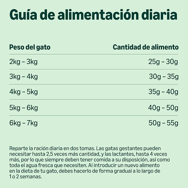 Foto 5 de 8 de by Amazon Alimento Seco Completo para Gatos Adultos con Atún y Arenque, 10 kg, Paquete de 1