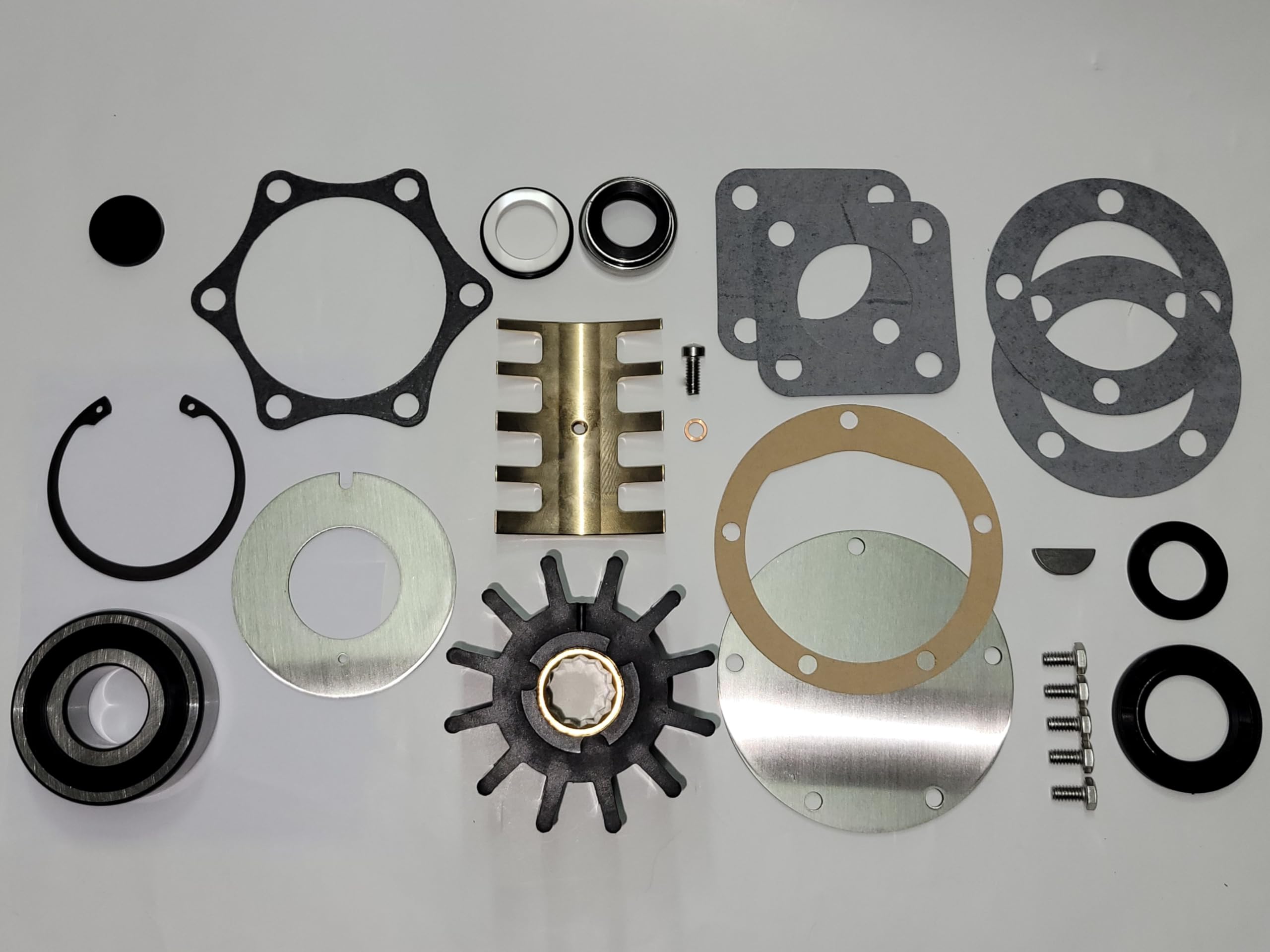Amazon.com: SCP-5197222 Raw Sea Water Pump Rebuild Kit for Jabsco