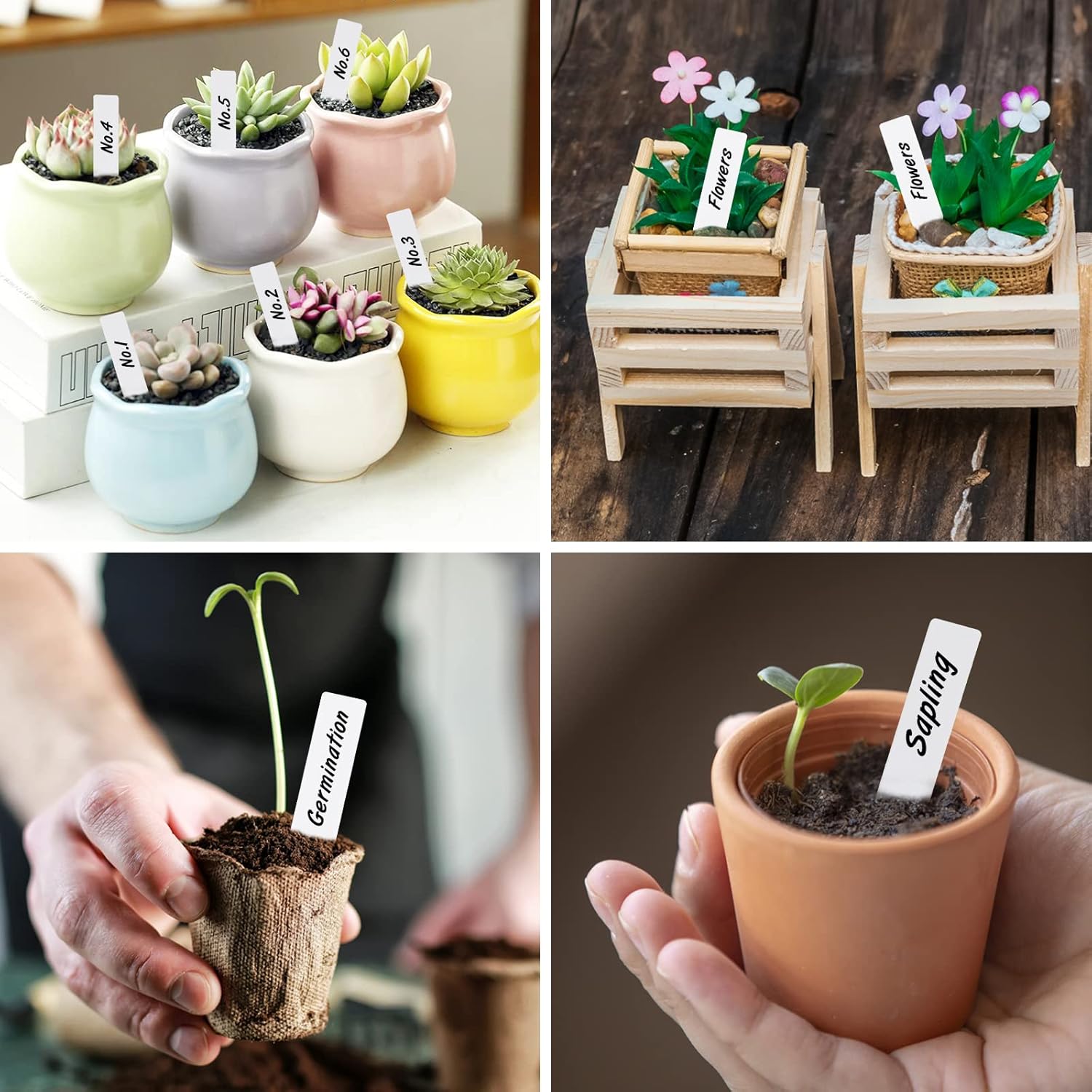 200 Pièces 5 X 1 Cm Petites étiquettes Blanches De Plantes, Marqueurs De Jardin En Plastique 11 200 Pièces 5 X 1 Cm Petites étiquettes Blanches De Plantes, Marqueurs De Jardin En Plastique -Terre Tendre Soldes Boutique AAHKMJXYDAFdJAOAIMEbOAchlkWZ0oakZn uVZ0mPidMNbILvCvspZ4oG3fPgIqc1P1j7K7HyNdTYAu9A9I4qdoNVk2BPG7TcGTnukluquWH6Q==