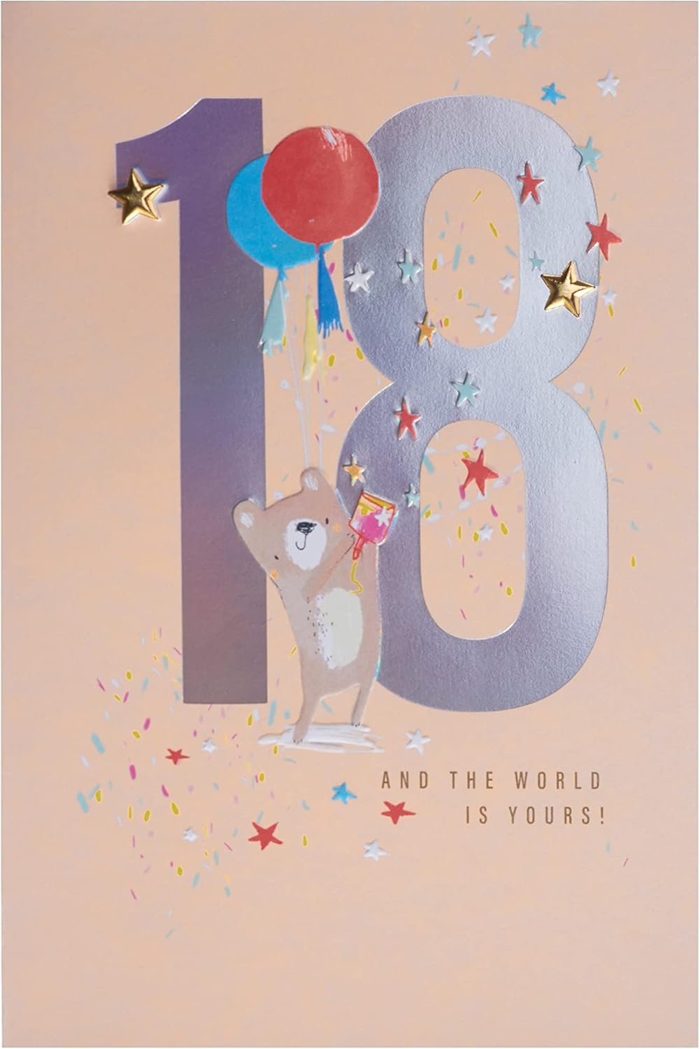 Hallmark 18th Birthday Card - Contemporary Holographic Illustrated Bear Design