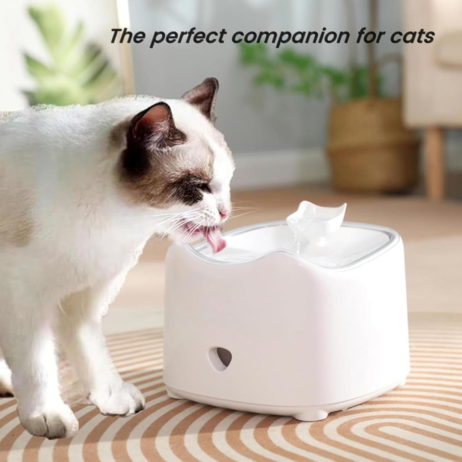 Fuente De Agua Automática para Mascotas De 1,8 L, Dispensador De Agua Autocirculante, Diseño Silencioso, Fuente De Agua para Gatos con Filtros De Repuesto, Fácil De Limpiar