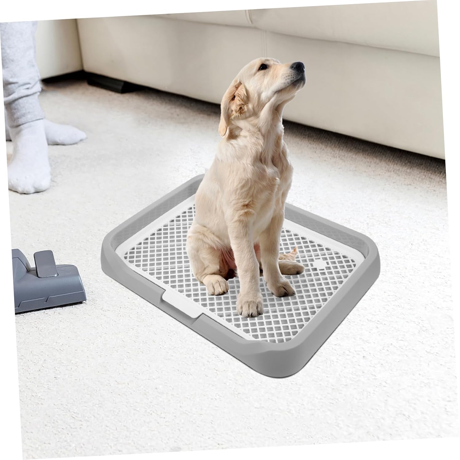 VICASKY Versatile Indoor Dog Toilet Tray for Easy Potty Training Splashproof Design for Spaces Large Capacity for Reduced Maintenance Material for Pet Safety
