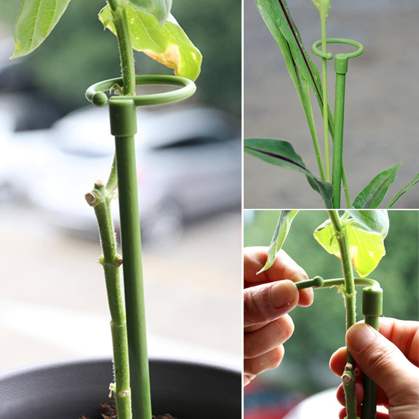 7 Tutori Per Piante 60 Cm Con Legacci E Fibbie - Supporto Per Steli Per Giardino, Ideali Per Rose E Orchidee - 5