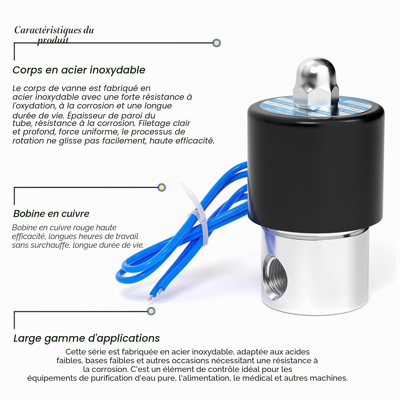TAILONZ PNEUMATIC Électrovanne à barbe en acier inoxydable 1/4" BSP 12V pour l'eau, l'air, les carburants, les gaz Type fermé