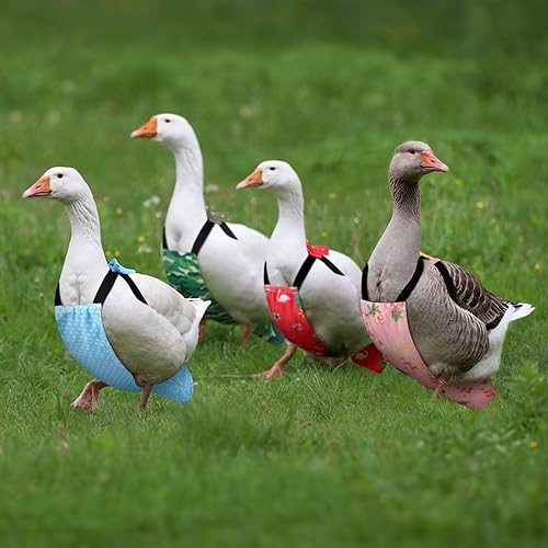 Miniatura 3 de 6 pañales de pollo para gallinas, patos gallo, reutilizables, lavables, con corbatín para patitos, gallinas, gansos, aves de corral, ropa ajustable