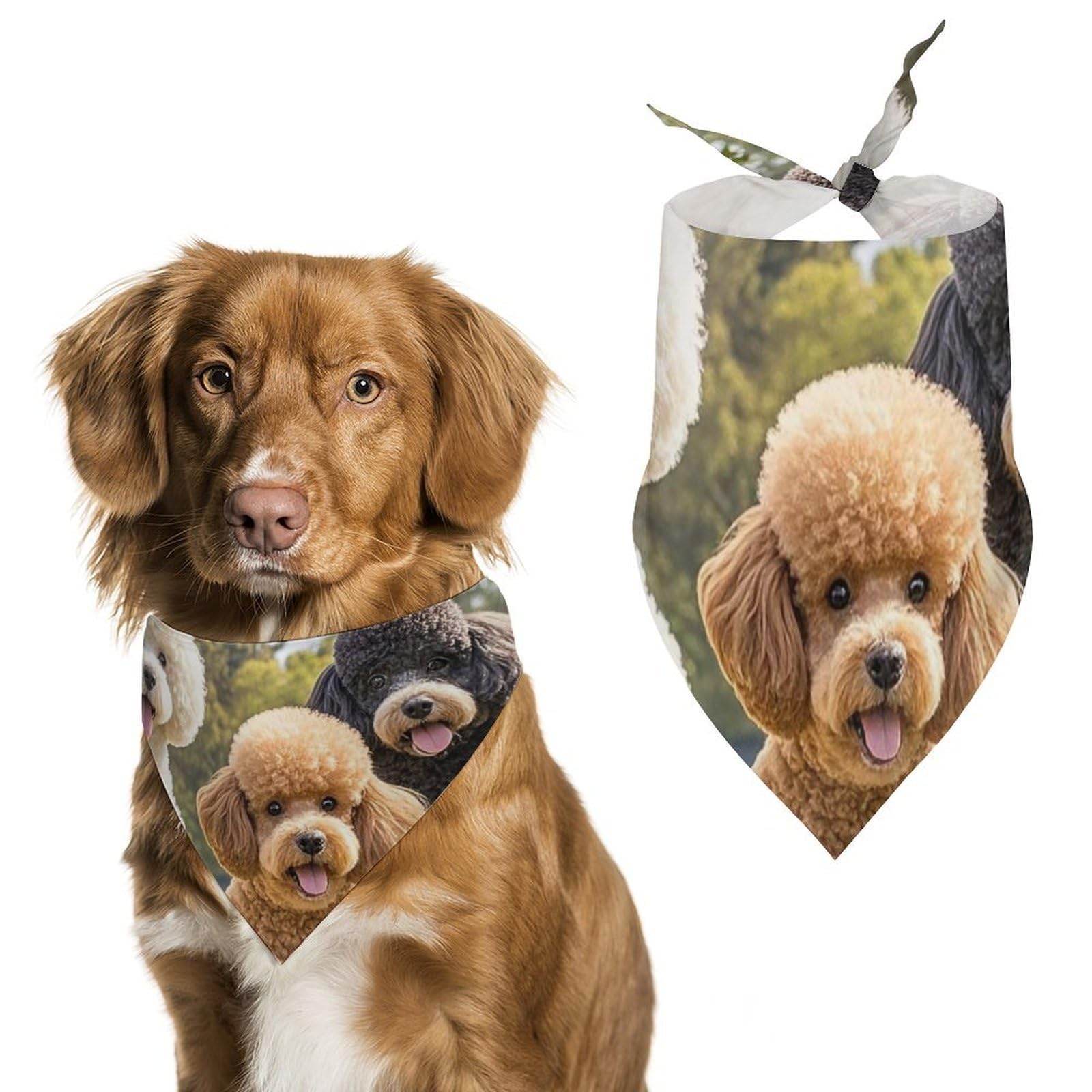 Barboncini DogsPet Sciarpa Bandana per cani taglia piccola media grande triangolo tessuto alta qualità