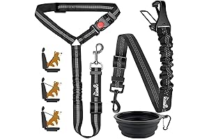 Lukovee Safe Buckle Dog Leash for Cars