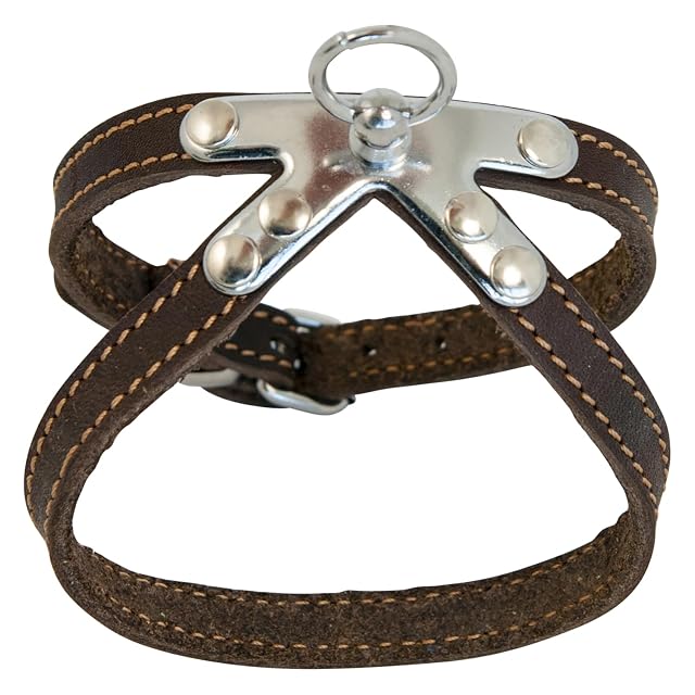 JACK AND VANILLA, Arnés de Piel, Resistente para Perros, cómodo y Ajustable, diseño Elegante