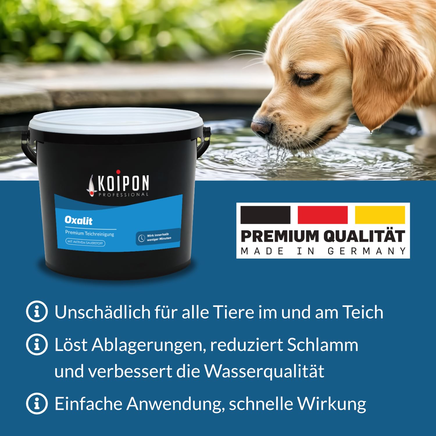KOIPON Oxalit 1 kg Teichschlammentferner zur Teich Reinigung von Laub, Teich Schlamm und Ablagerungen wirkt innerhalb weniger Minuten mit Sauerstoff