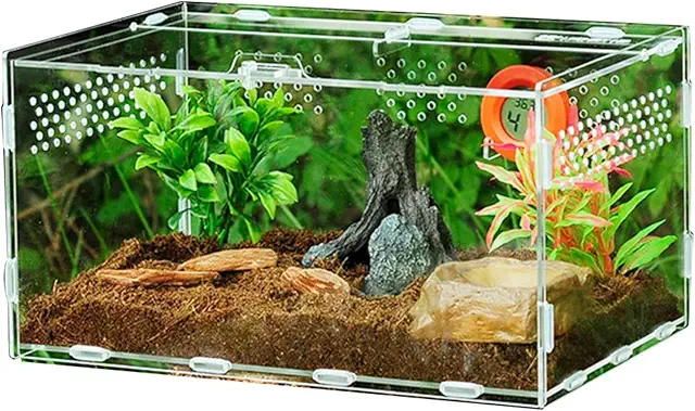 Terrario para Ranas Acrílico - Caja de Alimentación y Transporte para Reptiles