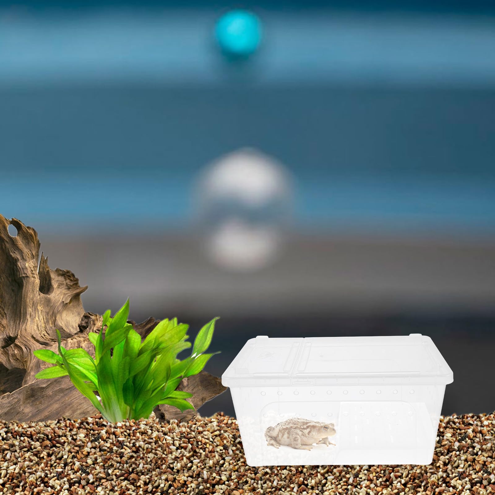 ifundom Acquario per Tartarughe e Rettili con Piattaforma per Crogiolarsi, Vaschetta in Plastico con Area Riposo e Alimentazione, per Osservazione e Habitat Terrestre