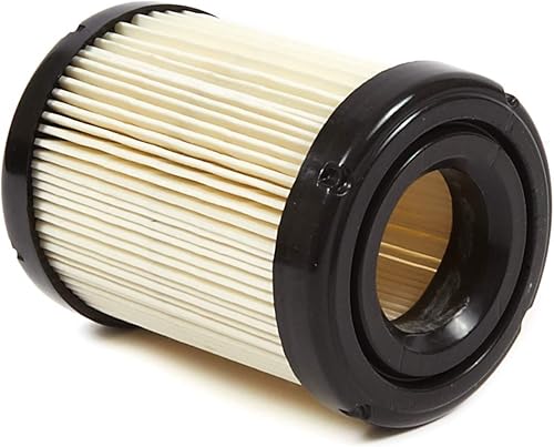 Briggs & Stratton 591583 Equipo de césped y jardín Filtro de aire del motor Pieza original del fabricante de equipos originales (OEM)