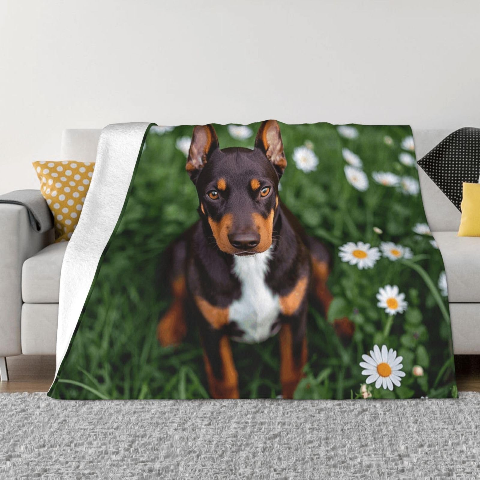 FodPand Cute Pet Doberman Pinscher Fleece Blanket 40"x30" Lightweight Warm Throw Blanket for Bed Couch Cozy Air Conditioning Quilt All Seasons Decorative Fuzzy Blankets Gifts for Women Men