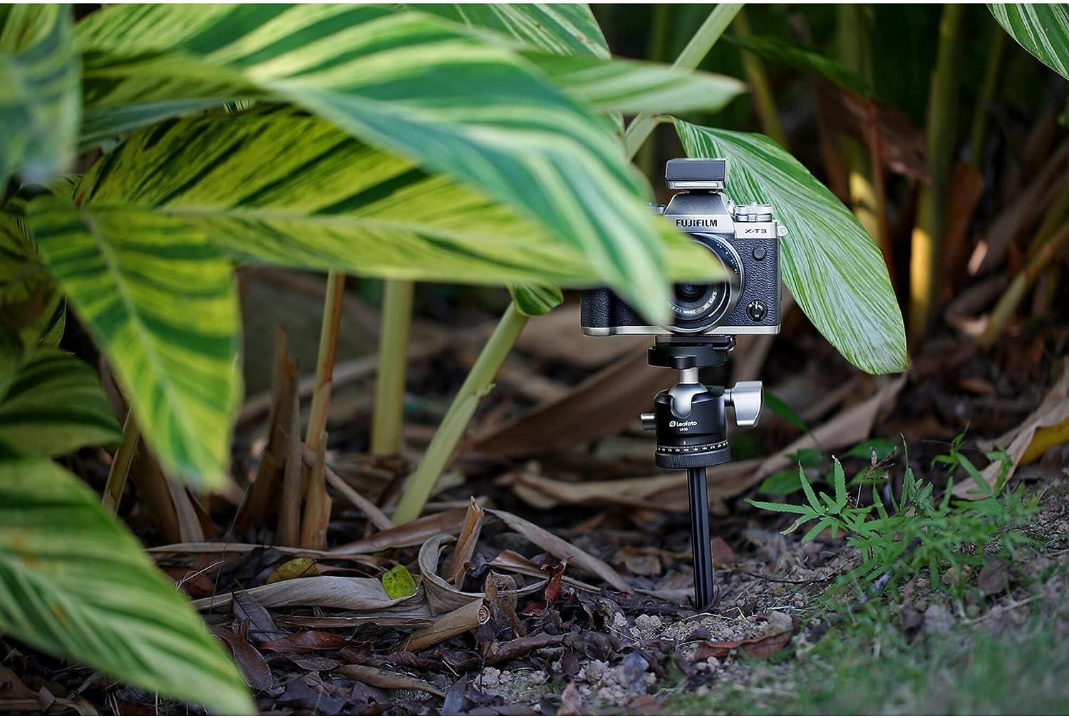 LEOFOTO Piquet de Sol A200 + Plaque de Support P50