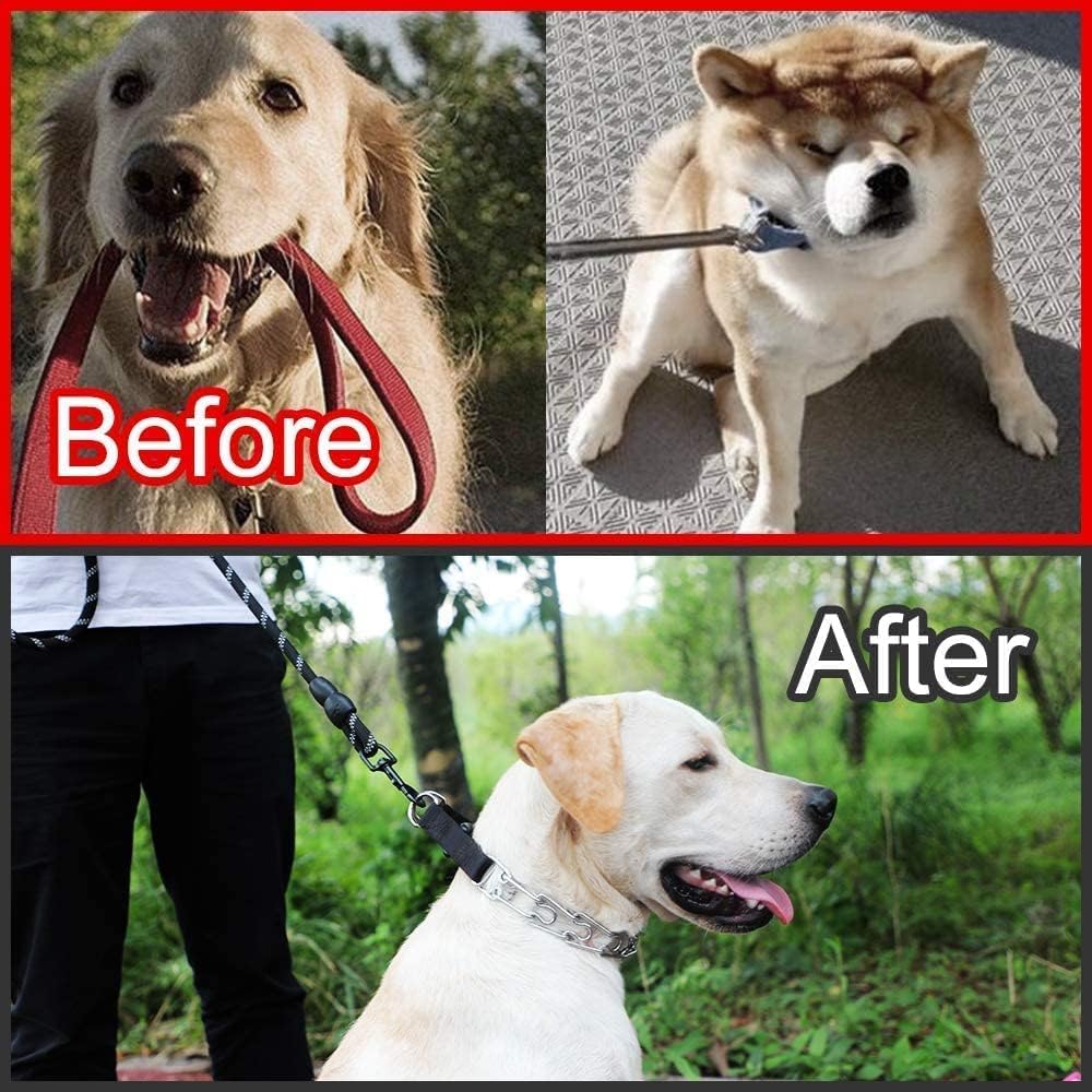 Dog Prong Collar, Adjustable Dog Training Collar with Quick Release Buckle for Small Medium Large Dogs image 4