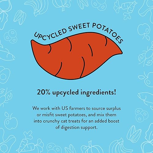 Miniatura 6 de Shameless Pets Crunchy Cat Treats - Golosinas para gatos con soporte para la piel y el pelaje, ingredientes naturales con salmón real, aperitivos