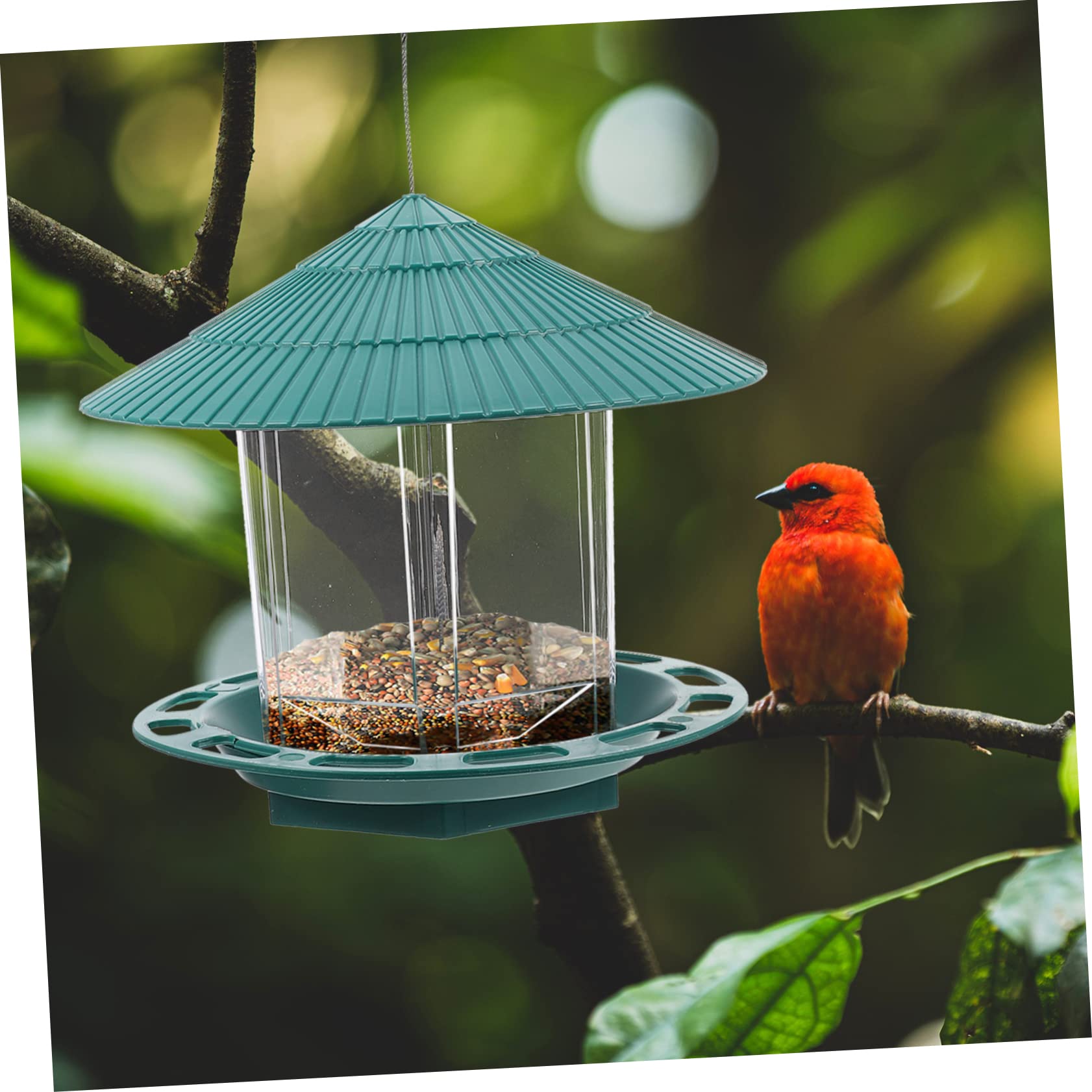 Toddmomy Hängender Vogelfutterspender Für Draußen Vogelfutterspender Für Garten Papageien-hängefutterspender Vogelfutterbehälter Mit Guter Verarbeitung Und Material