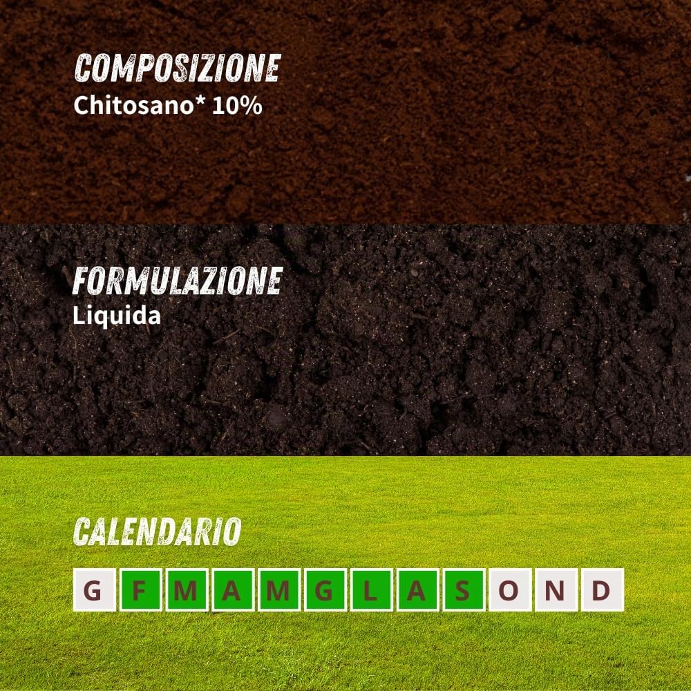 Vithal Expert Fungibio Fungicida Naturale per Tappeti Erbosi, Contro Oidio, Ruggine e Dollar Spot, Elicitorio 1 L
