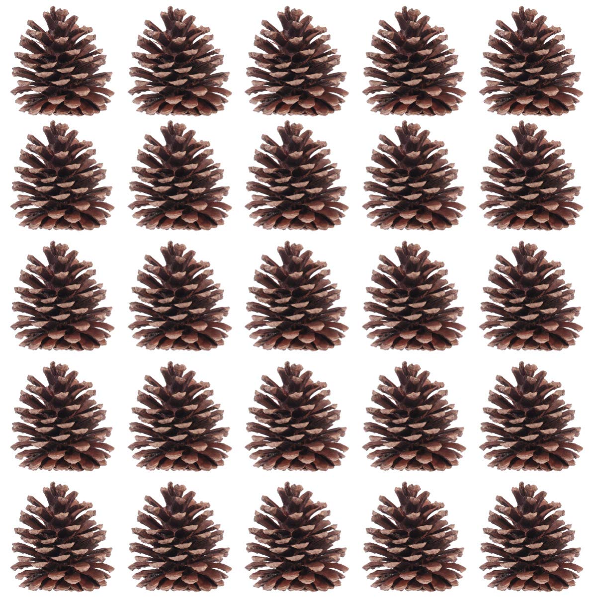 50 Natürliche Tannenzapfen 6-8cm Weihnachtsbaumschmuck | Wiederverwendbar, für Winter und Weihnachten, Geeignet für Vitrine und Küche