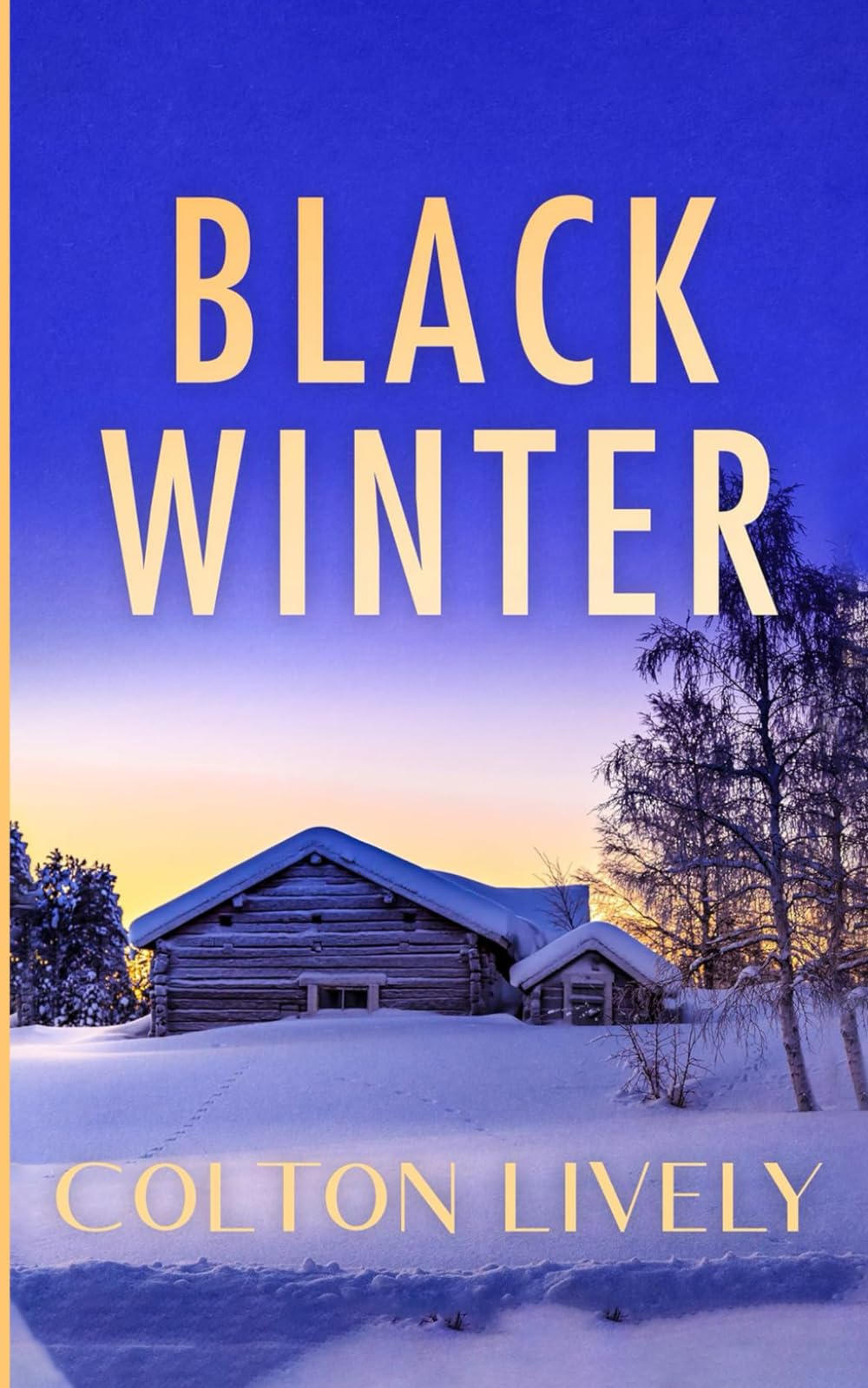 Black Winter: An EMP Post Apocalypse Prepper Thriller: 101 (EMP Survival in a Powerless World)