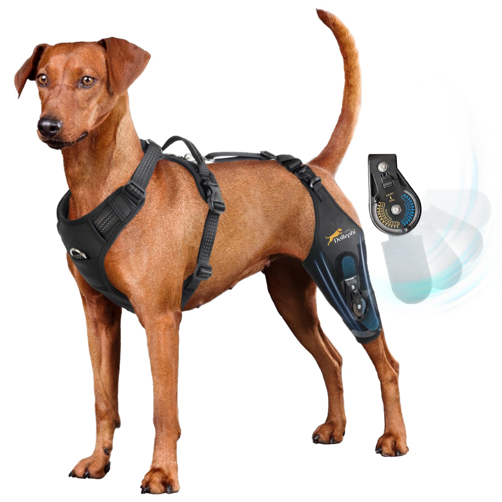 Genouillère pour chien jambe gauche XL avec charnière réglable
