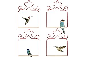 Red Hummingbird Swings for Outside | Perfect Perch for Small Hummingbirds