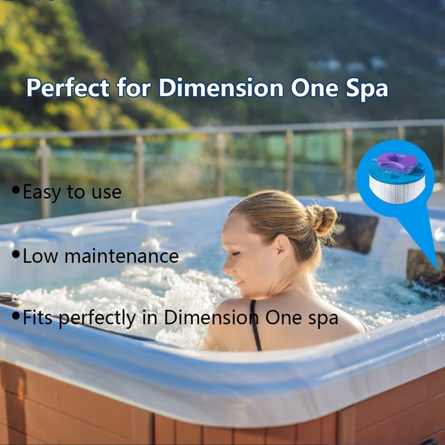 6 Filtres de Spa Dimension One, Remplacement pour Vision Dimension One Spa, 01512-261 pour Filtre de Spa Vision