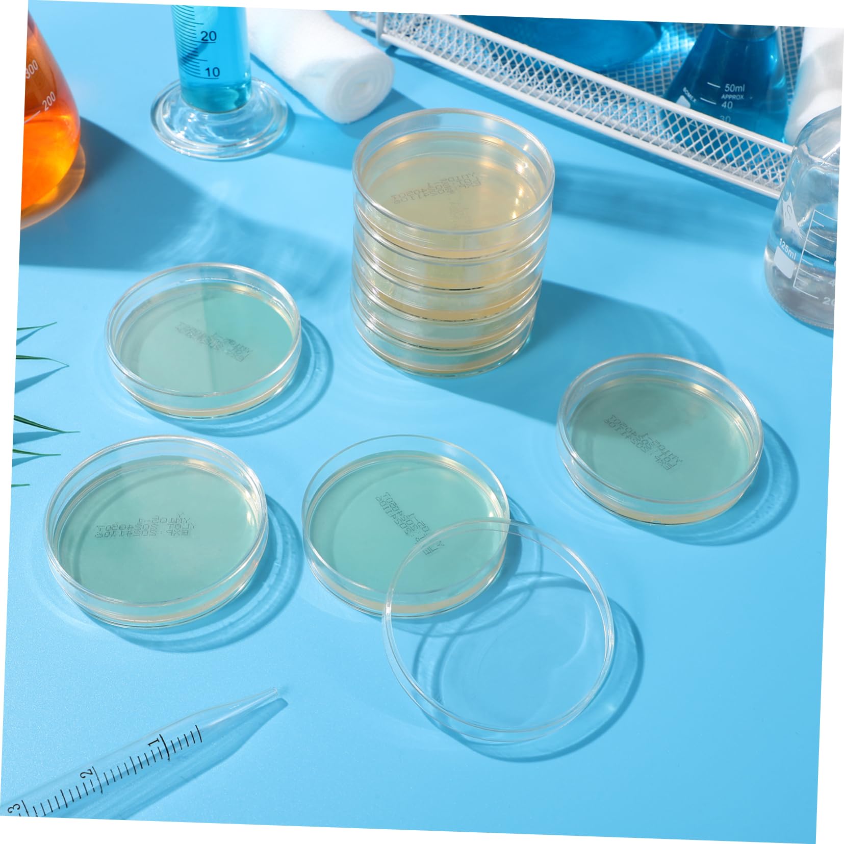 Anneome 20piezas Placas De Agar Prevertidas Para Experimentos Científicos Placas Petri Con Agar Para Cultivo Microbiano Y Proyectos De Feria De Ciencias