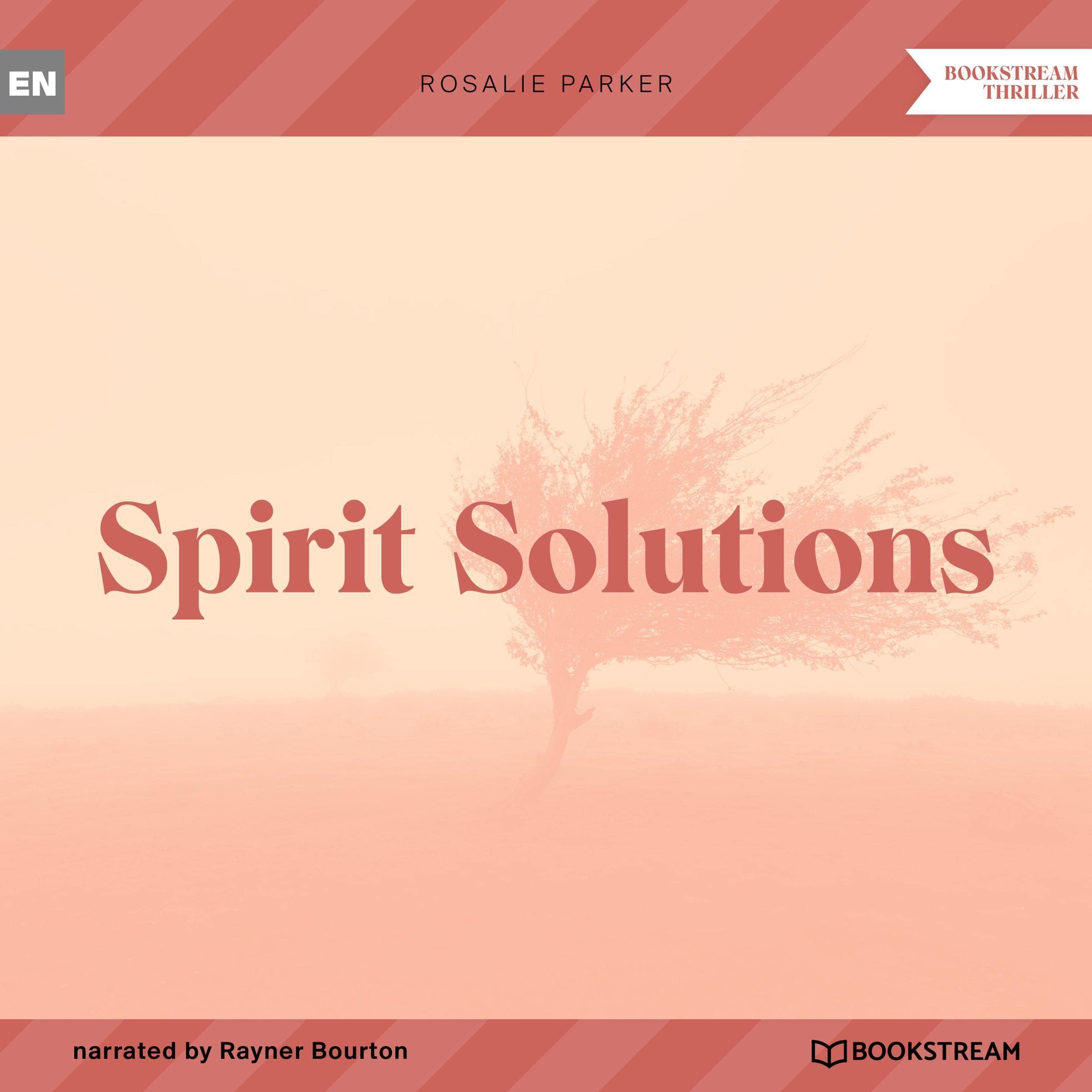 Spirit Solutions