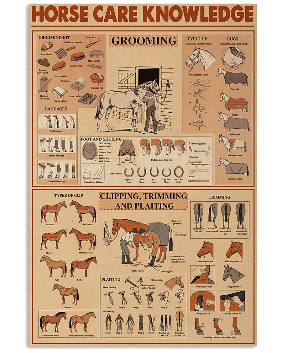 peiyeety Horse Care Knowledge Tin Poster Horse Breeder's Guide Metal Signs Farm Club Garage Wall Decoration Plaque Vintage Decor 8"x12"