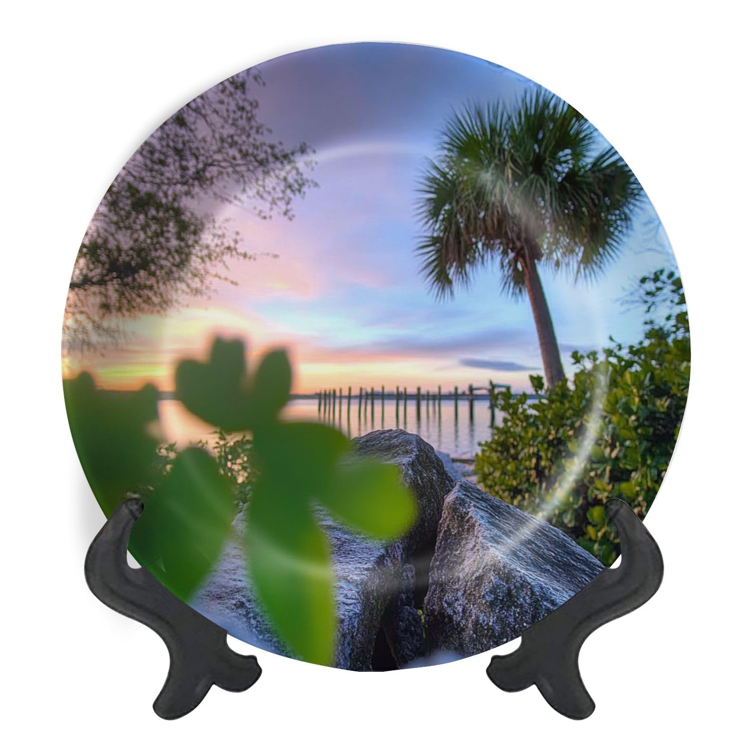 Decorative Plates for Display Park Merritt Island Gift Plates Ceramic Collections Plates Hanging Artwork for Living Dining Room Kitchen Souvenir