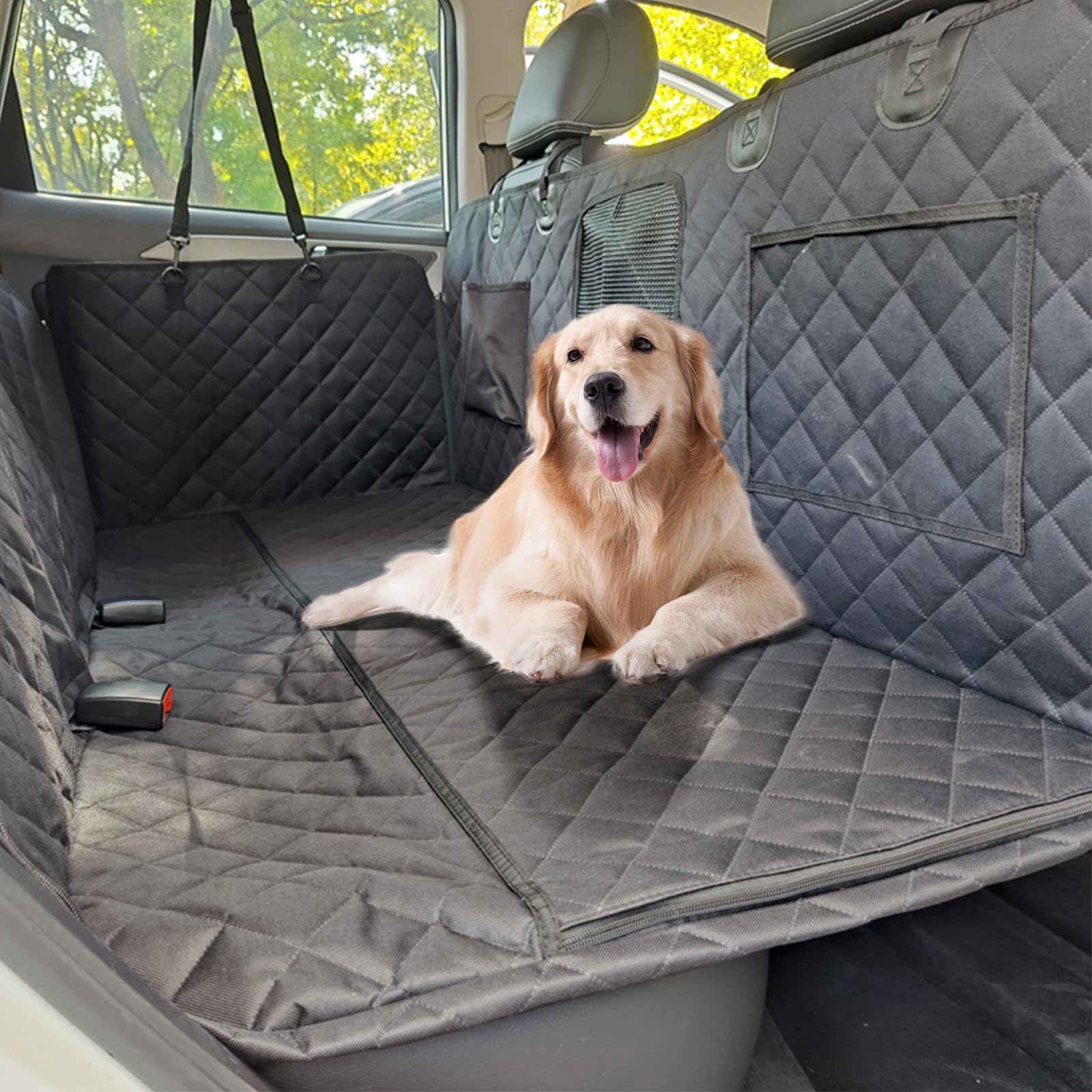 Hund Rückbank Auto