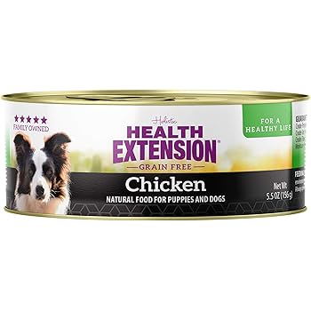 health extension food
