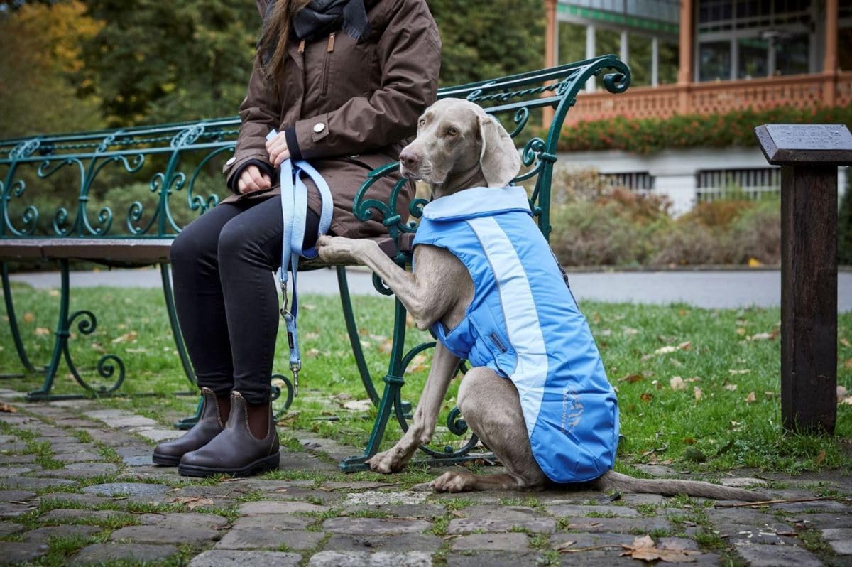 Wolters Dogzwear Skijacke Hundejacke Hundemantel Hundewinterjacke mit  wasserdichtem RV Azur blau/Sky Blue : Amazon.de: Haustier