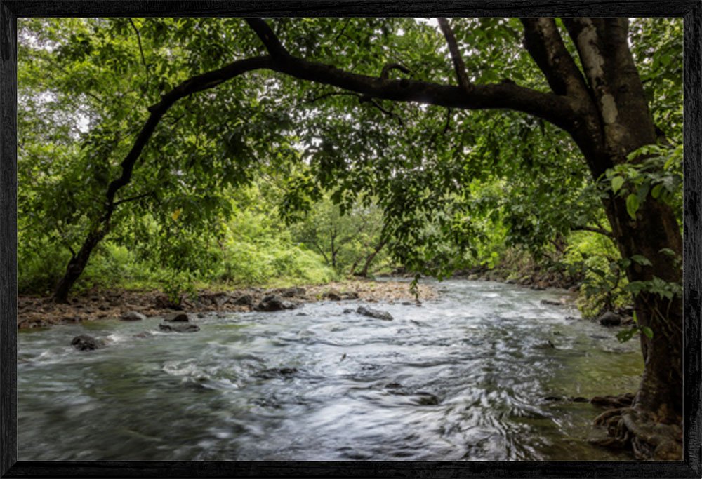 Wall Art -‘Silonda Stream’ -Forest Landscape -Fine Art Photography Print on Archival Canvas by Sanjay Marathe -14” x 21” (35.5cm x 53.3cm) with Classy Box Frame 15” x 22” x 1” (38.1cm x 55.8cm x 2.5cm) -Wall Décor for Homes, Offices, Hotel rooms, Lobbies, Hospitals