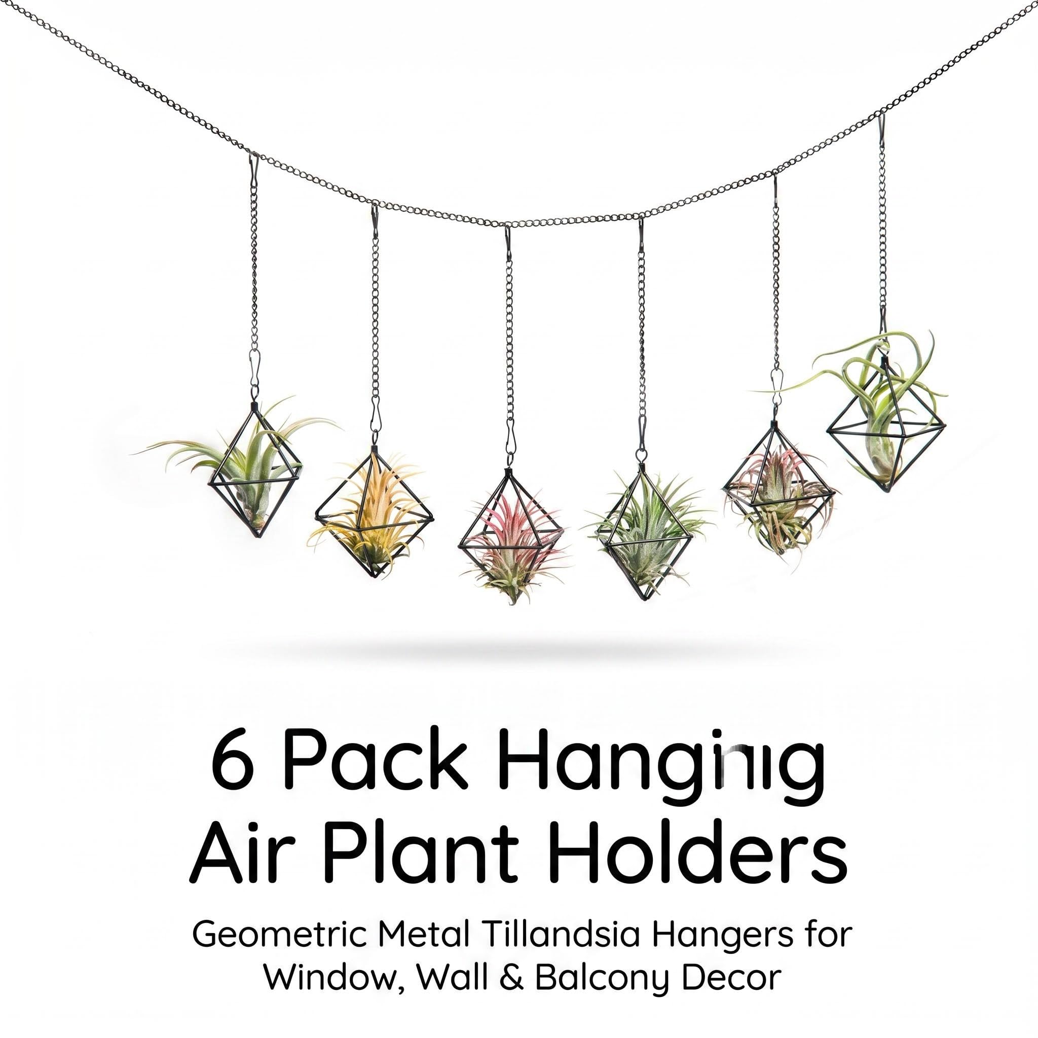 Lot de 6 supports à suspendre pour plantes aériennes noires - Petits aérofères en métal - Cadre géométrique Tillandsia avec chaînes pour fixation murale - Décoration Himmeli (sans plante)