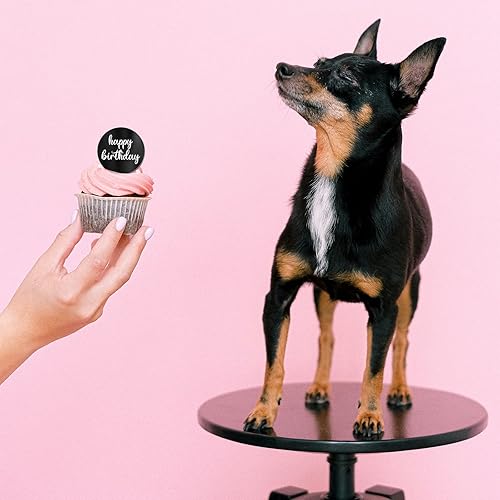 Miniatura 5 de 24 piezas de adornos acrílicos negros para cupcakes de feliz cumpleaños, espejo de disco de cumpleaños, decoración de cupcakes de cumpleaños, mini